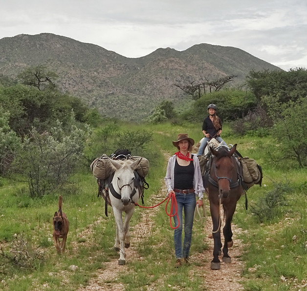 Large Moonraker bungalow