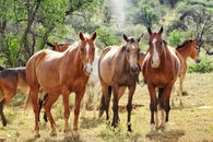 Hospitality at Moonraker