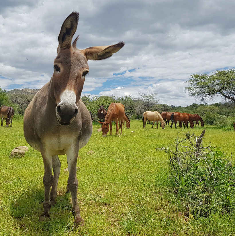 Fireplace atmosphere at Moonraker