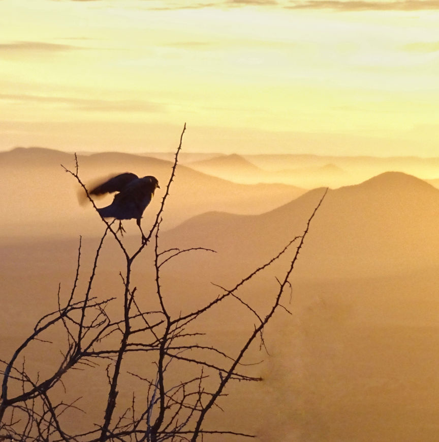 Veranda scene at Moonraker