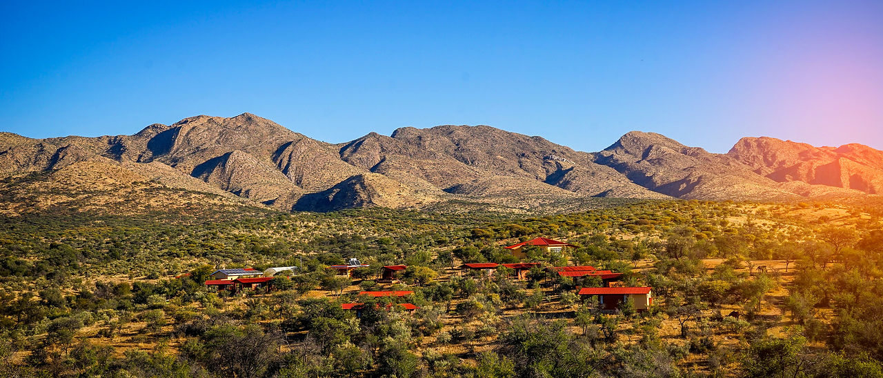 Mule treks at Moonraker